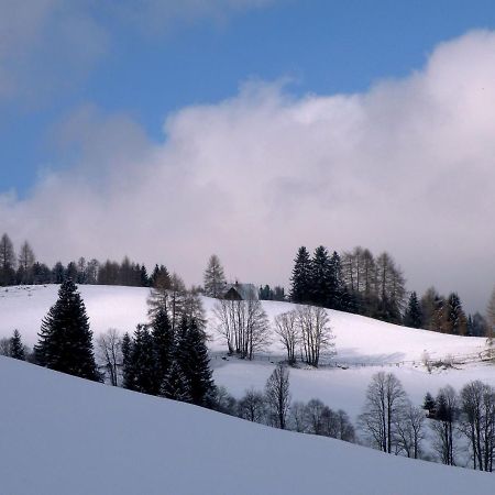 Urlaub Im Zirbenland Villa Obdach Exterior photo